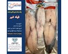 ماهی شیر فیله وکیوم (کد197) شیلات مهدی زاده - همراه 09155159391